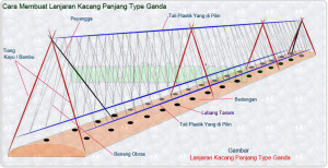 Lanjaran Kacang