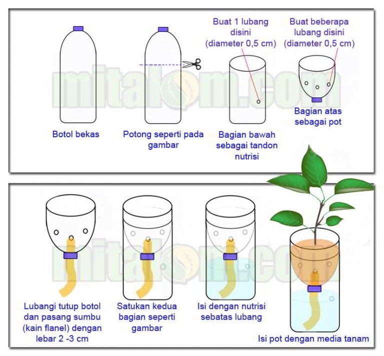 Tutorial Hidroponik Sistem Wick