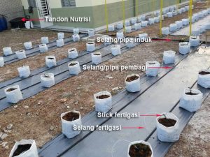 Cara Memasang Instalasi Sistem Fertigasi