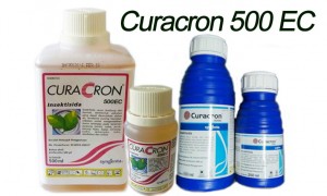 Fungsi Curacron 500 EC