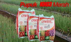 Kandungan Unsur Pupuk KNO3 Merah