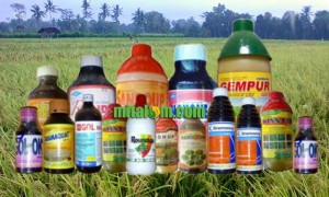 Daftar Harga Herbisida