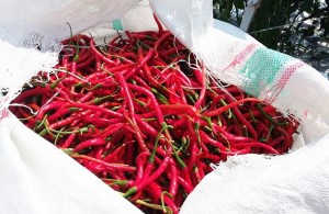 Manfaat dan Khasiat Cabe