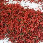 Fakta Mencengangkan Tentang Cabe