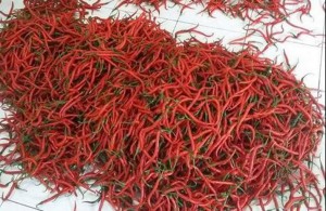 Kandungan Gizi dan Nutrisi Buah Cabe