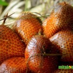 Khasiat dan Manfaat Buah Salak Untuk Kesehatan