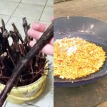 Cara Menggunakan PGPR
