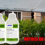 Mengapa Nutrisi AB Mix Di Kemas Terpisah?