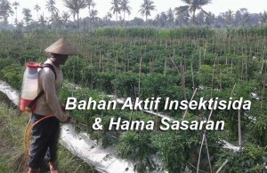 Bahan Aktif Insektisida