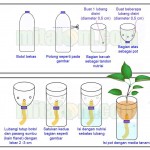 Tutorial Hidroponik Sistem Wick