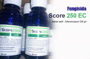 Manfaat Score 250 EC