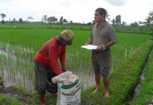 Cara Menentukan Jumlah dan Jenis Pupuk