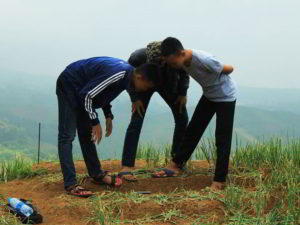 Foto Kerusakan Kebun Bawang Akibat Selfie 3