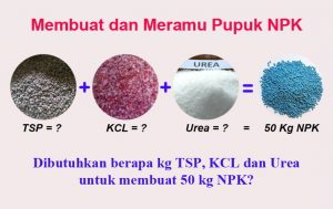 Panduan Lengkap Meramu Pupuk NPK dan Cara Mengukur Kandungan Pupuk