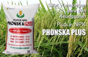 Keunggulan dan Manfaat Pupuk NPK Phonska Plus