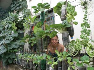 Ide Kreatif Berkebun Sayuran Vertikultur