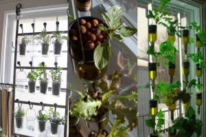 Kebun Vertikultur Indoor di Jendela