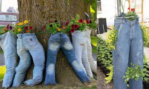 Berkebun Vertikultur di Celana Jeans Bekas