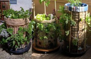 Membuat Vertikal Garden dengan Karung Goni Bekas