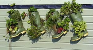 Membuat Kebun Vertikultur dengan Sepatu Boot Bekas