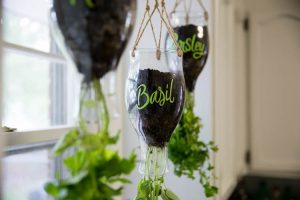 Vertikal Garden di Botol Bekas