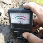 4 Cara Sederhana Mengetahui Tanah Masam dan Faktor yang Mempengaruhi pH Tanah
