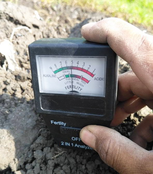 4 Cara Mudah Mengukur PH TANAH dan Cara Menggunakan PH METER Tanah