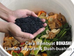 9 Cara Mudah Membuat PUPUK BOKASHI dengan Cepat