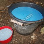 12 Cara Pemberian Pupuk NPK MUTIARA pada Cabai, Tomat, Terung, Kubis, Brokoli dan Tanaman Sayuran Lainnya
