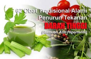 62 Obat Tradisional darah Tinggi Paling Mujarab