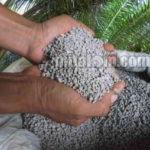 9 Kegunaan Fungsi Pupuk TSP,SP18 dan SP36 untuk Kelapa Sawit