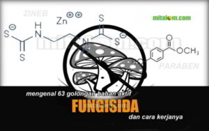 Daftar Golongan Bahan Aktif Fungisida