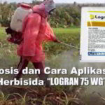 Herbisida LOGRAN 75WG : Bahan Aktif, Dosis dan Cara Aplikasi Logran 75 WG pada Berbagai Jenis Tanaman