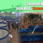 BIOFLOK Ikan Nila, Pengertian Bioflok dan 9 Keunggulan Sistem Bioflok untuk IKAN NILA