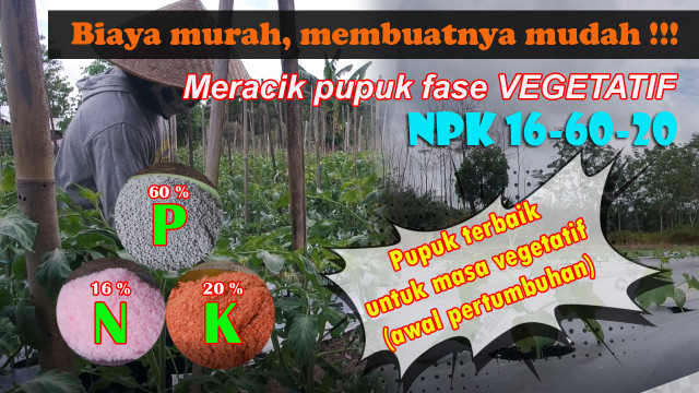 Cara meramu pupuk NPK masa vegetatif awal/mitalom.com Video Cara Membuat (Meracik/Meramu) Pupuk NPK 16-60-20 untuk Masa Vegetatif